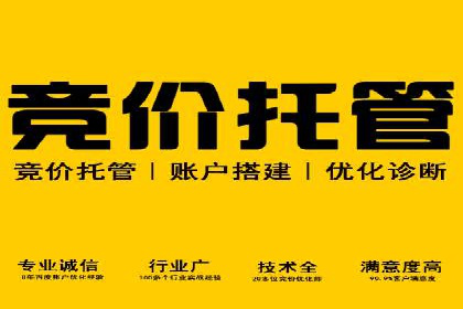行业首例：SEM推广竞价代运营的突破与挑战